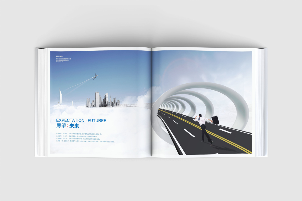 高碑店市画册设计